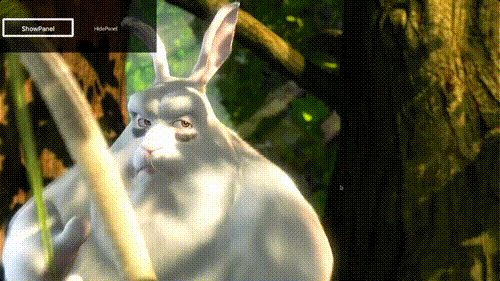 Example of Setting Focus